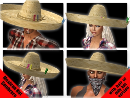 BR Mexican Hat - Sombrero Vendor